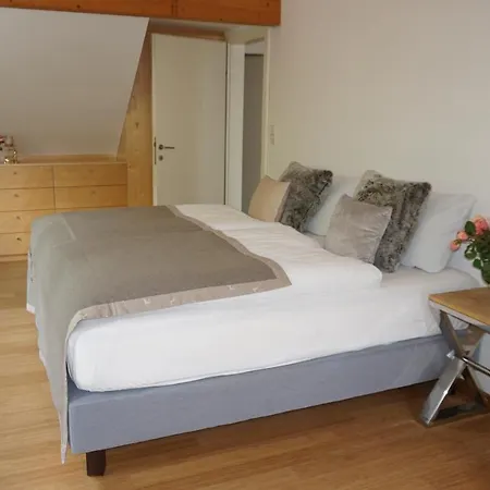 Aussergewoehnliches Loft Am Pfaenderhang Mit Seeblick Apartment *