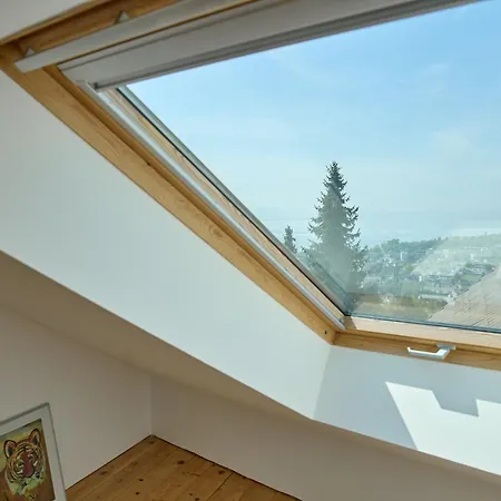 Aussergewoehnliches Loft Am Pfaenderhang Mit Seeblick * לוכאו ביי ברגנץ