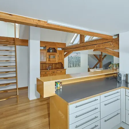 Apartment Aussergewoehnliches Loft Am Pfaenderhang Mit Seeblick Lochau
